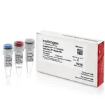 Thermo Fisher Scientific SuperScript IV Template Switching RT Master Mix, 48 reactions