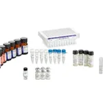Waters GlycoWorks RapiFluor-MS N-Glycan Eco Basic Kit - 96 samples