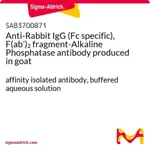 Merck Anti-Rabbit IgG (Fc specific), F(ab')2 fragment-Alkaline Phosphatase antibody produced in goat