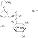 Merck L-A-PHOSPHATIDYL-D-MYO-INOSITOL 4,5- DIP