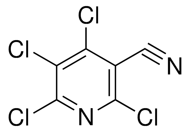 Merck 2,4,5,6-TETRACHLORONICOTINONITR-