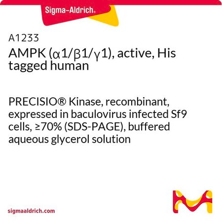 Merck AMPK (alpha1/beta1/gamma1), active, His tagged human
