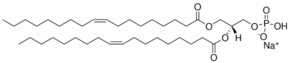 Merck 18:1 PA