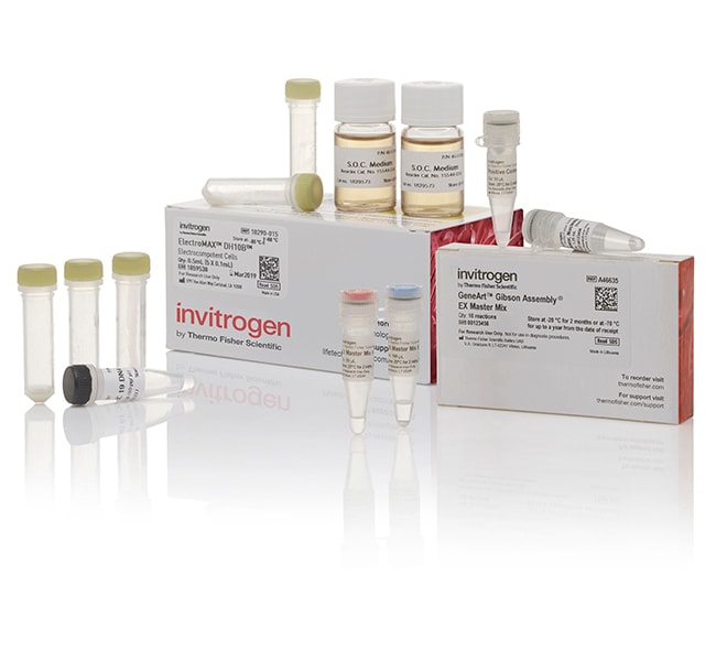 Thermo Fisher Scientific GeneArt Gibson Assembly EX Cloning Kit, electrocompetent cells