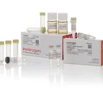 Thermo Fisher Scientific GeneArt Gibson Assembly EX Cloning Kit, electrocompetent cells