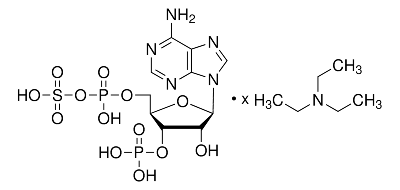 Merck Adenosine 3'-phosphate 5'-phosphosulfate triethylammonium salt