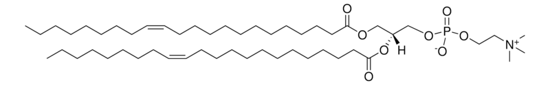 Merck 22:1 (Cis) PC