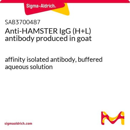 Merck Anti-HAMSTER IgG (H+L) antibody produced in goat