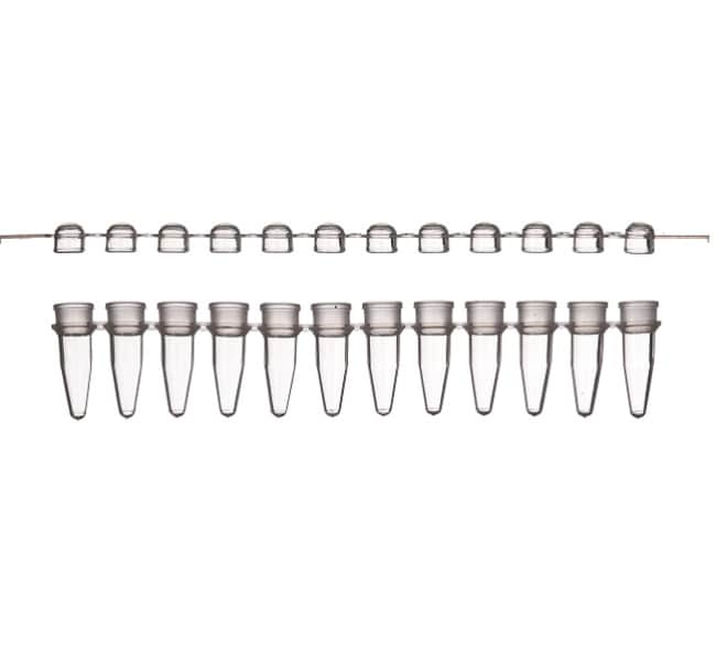 Thermo Fisher Scientific Tubes and Domed Caps, strips of 12