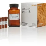 Thermo Fisher Scientific iBind Flex Solution Kit, 1 kit