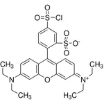 Merck Sulforhodamine B acid chloride