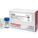Thermo Fisher Scientific Dynabeads Untouched Human CD8 T Cells Kit