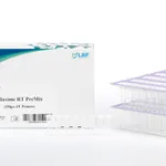 Intron Maxime™ RT PreMix (Oligo (dT)15 Primer)