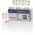 Thermo Fisher Scientific aLICator LIC Cloning and Expression Set 1 (All-in-One/EK)