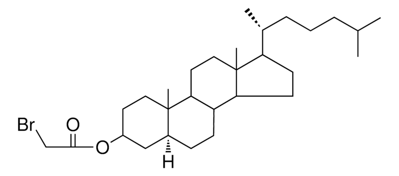 Merck 5-ALPHA-CHOLESTAN-3-BETA-YL BR - 1 MG&