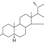 Merck 5-ALPHA-CHOLESTAN-3-BETA-YL BR - 1 MG&