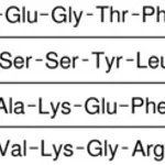 Merck GLUCAGON-LIKE PEPTIDE I FRAGMENT 7-36 &