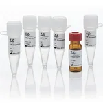 Thermo Fisher Scientific PolarScreen Glucocorticoid Receptor Competitor Assay Kit, Red