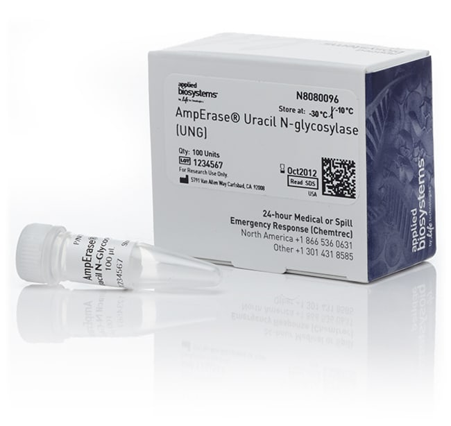 Thermo Fisher Scientific AmpErase Uracil N-Glycosylase (UNG)