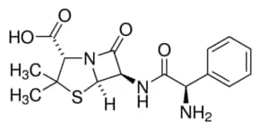 Merck AMPICILLIN