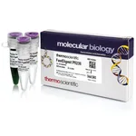 Thermo Fisher Scientific FastDigest Pfl23II