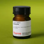 Thermo Fisher Scientific Lysozyme