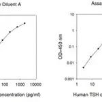 Merck THYROTROPIC HORMONE FROM HUMAN PITUITARY