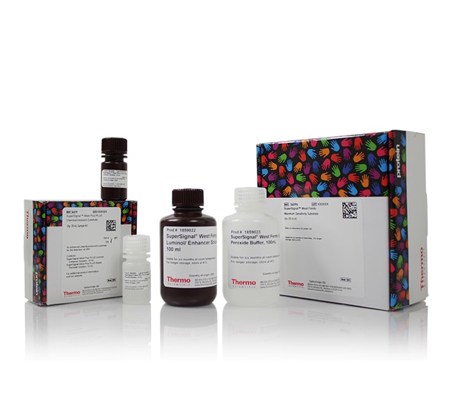Thermo Fisher Scientific SuperSignal Western Blot Substrate Bundle, Atto + trial-size Pico PLUS