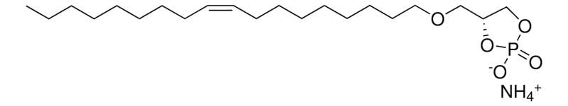 Merck C18:1 Cyclic LPA