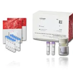 Thermo Fisher Scientific ARES Alexa Fluor 488 DNA Labeling Kit