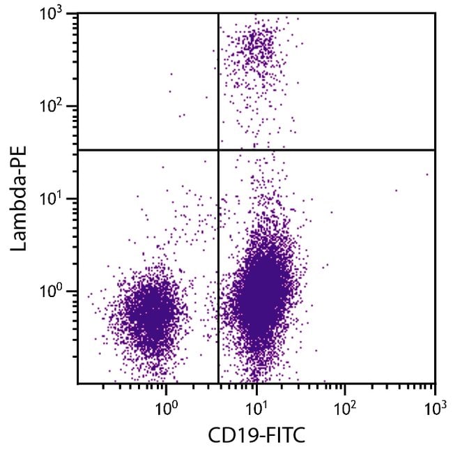Thermo Fisher Scientific Rat anti-Mouse Lambda Light Chain Secondary Antibody, PE