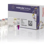 Thermo Fisher Scientific Phire Animal Tissue Direct PCR Kit (without sampling tools)