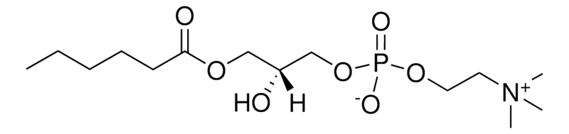 Merck 06:0 Lyso PC