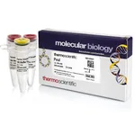Thermo Fisher Scientific PvuI (10 U/μL), 300 units