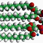 Merck 14:0 CARDIOLIPIN (AMMONIUM SALT)
