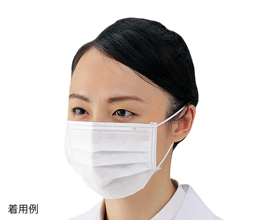 AS ONE Electric Stone Mask Disposable, 전석 마스크