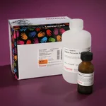 Thermo Fisher Scientific Metal Enhanced DAB Substrate Kit