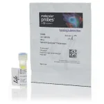 Thermo Fisher Scientific Vybrant DyeCycle Violet Stain