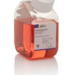 Thermo Fisher Scientific Human Endothelial SFM