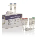 Thermo Fisher Scientific Phusion Site-Directed Mutagenesis Kit