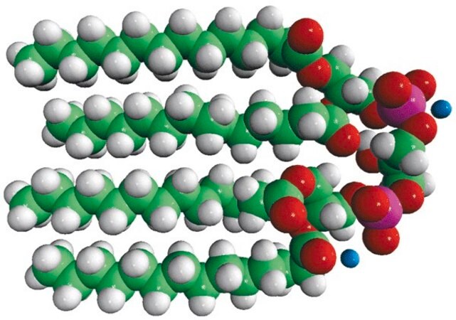 Merck 14:0 Cardiolipin (ammonium salt)