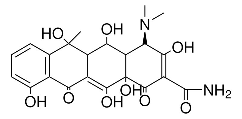 Merck TERRAMYCIN-