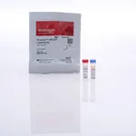 Thermo Fisher Scientific Qtracker 605 Cell Labeling Kit