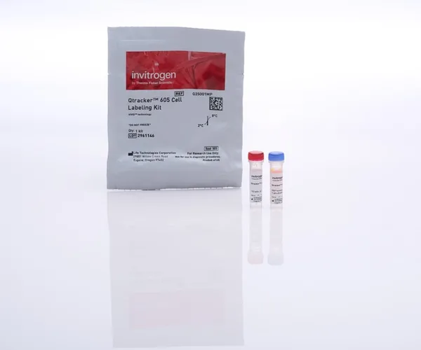 Thermo Fisher Scientific Qtracker 605 Cell Labeling Kit