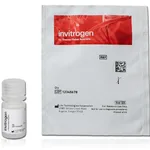 Thermo Fisher Scientific FluoSpheres Sulfate-Modified Microspheres, 0.02 μm, yellow-green fluorescent (505/515), 2% solids, 10 mL