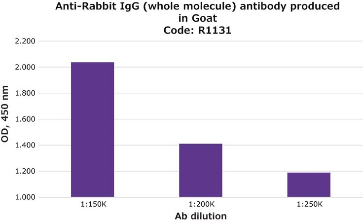 Merck Anti-Rabbit IgG (whole molecule) antibody produced in goat