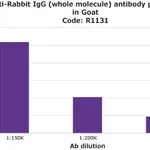 Merck Anti-Rabbit IgG (whole molecule) antibody produced in goat