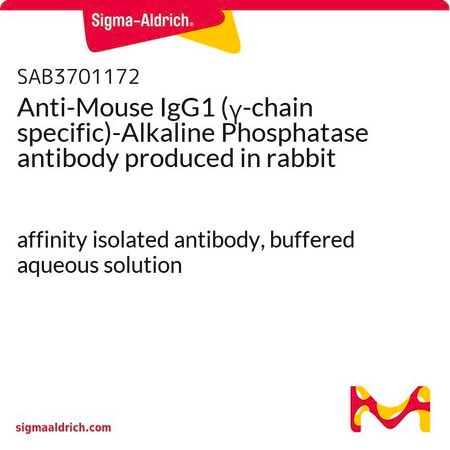 Merck Anti-Mouse IgG1 (gamma-chain specific)-Alkaline Phosphatase antibody produced in rabbit
