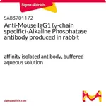 Merck Anti-Mouse IgG1 (gamma-chain specific)-Alkaline Phosphatase antibody produced in rabbit