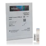 Thermo Fisher Scientific SYBR Green II RNA Gel Stain, 10,000X concentrate in DMSO, 500 μL